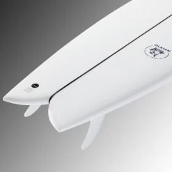 FISH 900 6'1" 42 L .Livrée Avec 2 Ailerons Twin . -Équipement De Surf fish 900 61 42 l livree avec 2 ailerons twin 7